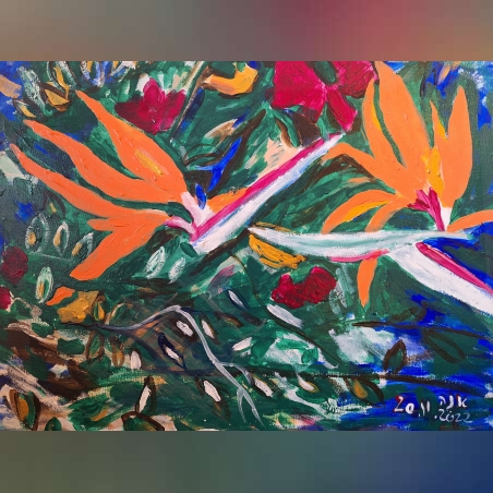 תמונה של ציפור גן עדן