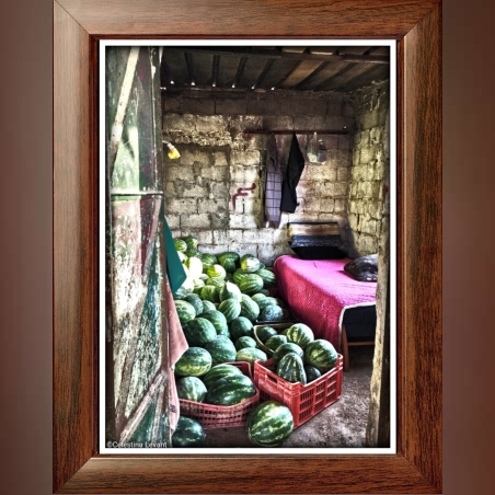 מוכר האבטיחים - צילום