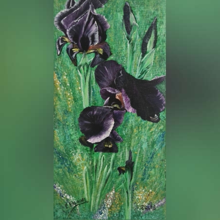 פרח האירוס אקריליק על קנבס