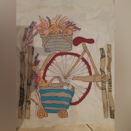 צדפים בחוף