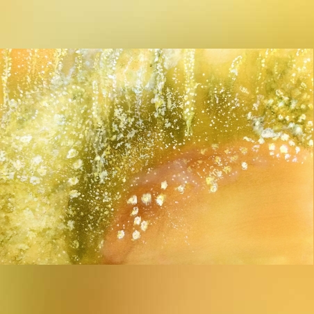 ציור חצבים פורחים