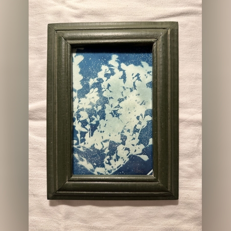 הדפס ציאנוטייפ ממוסגר הדפס שמש בעבודת יד יחיד מסוגו עם מסגרת וינטג ירוקה