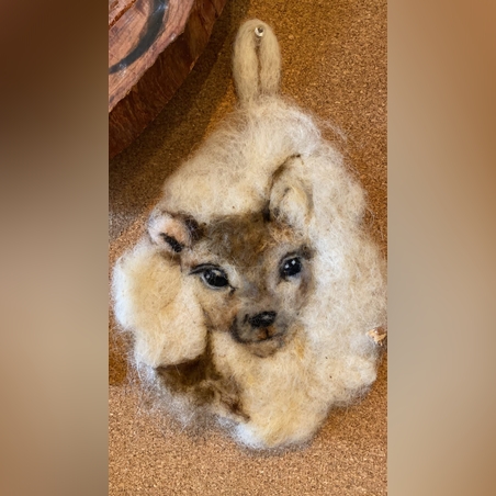 תמונת צמר אייל