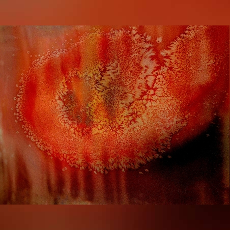 ציור להיוולד מחדש