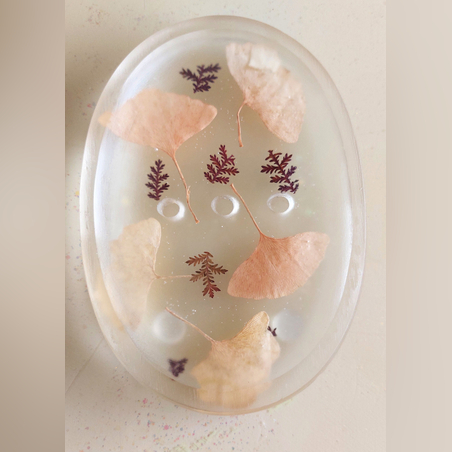 סבוניה אליפסה עם עלים חומים