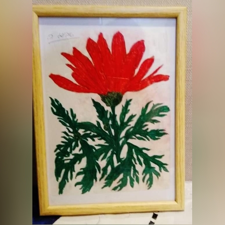 תמונת הפרח האדום