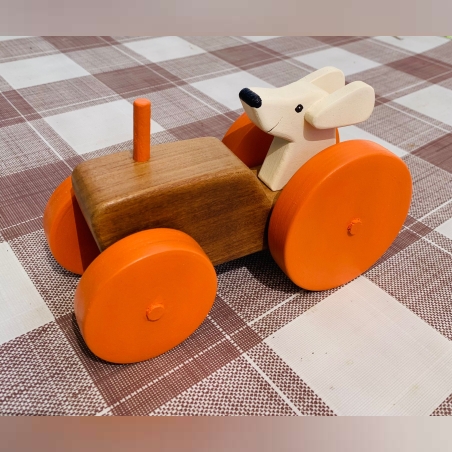 רכב מרוצים בעבודת יד עם כלב צבוע בצבעים מרהיבים