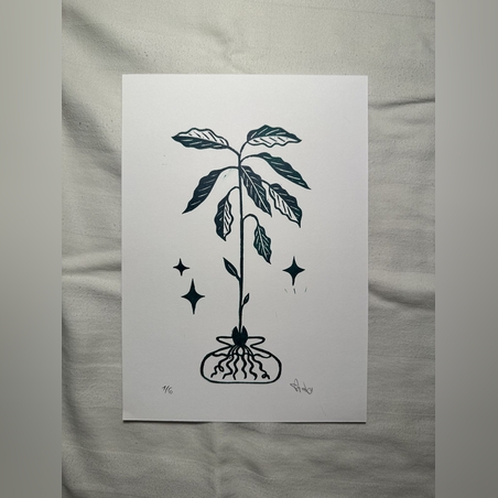 הדפס אבוקדו הדפס בלט בעבודת יד בצבע ירוק