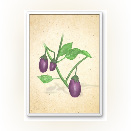 חצילים סגולים -הדפס ממוסגר