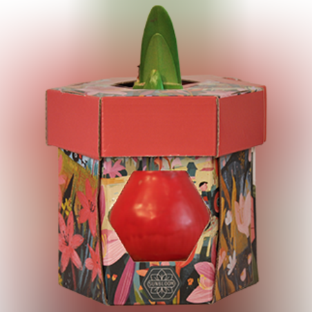 סאנבלום - ג'מבו