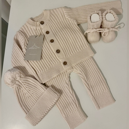 דגם אריאל - בז׳