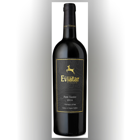 פטי וורדו 2016 מתיישן