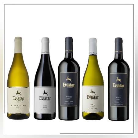 מארז יינות היקב