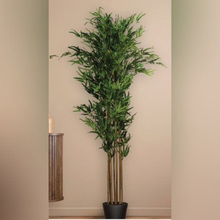 עץ BAMBOO GREEN 150 CM