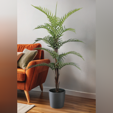 עץ  PALM 72/60/124 CM