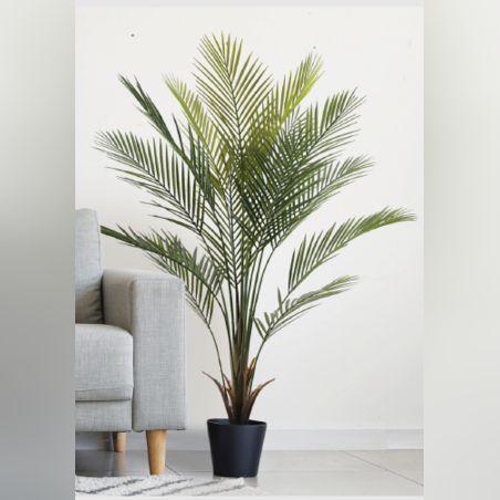 עץ KWAI  80/80/150 CM