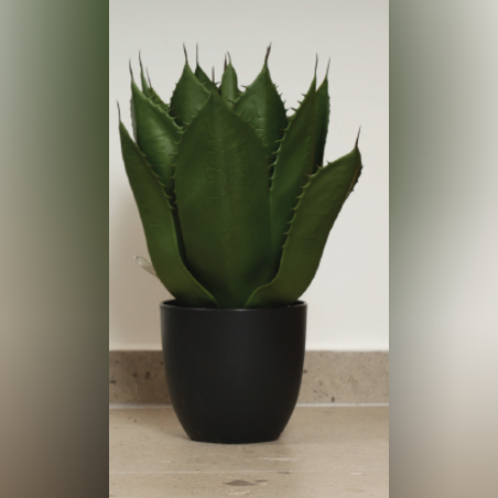 עץ AGAVE 48/51 CM
