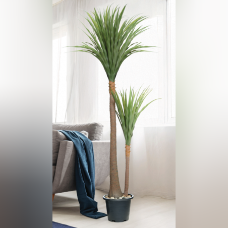 עץ YUCCA 88/88/150 CM