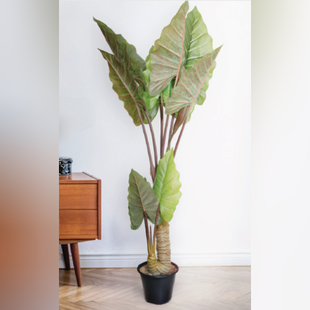 עץ TARO TREE 101/98/134 CM
