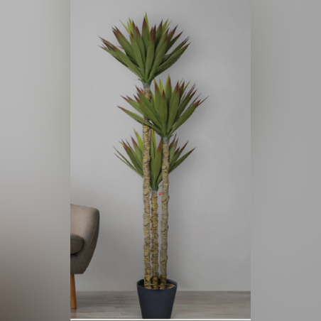 עץ AGAVE MULTI TREE 67/60/148 CM
