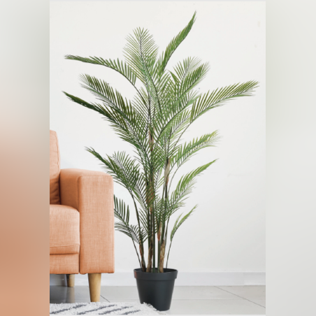 עץ KWAI SINGAL 65/65/120 CM