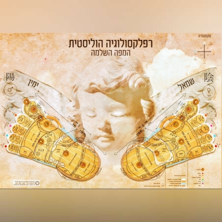 המפה הרפלקסולוגית השלמה 2024