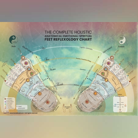 הרצאה : רפלקסולוגיה הוליסטית מפת האוצר של כפות הרגליים