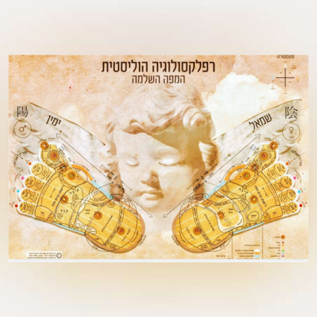 הרצאה : רפלקסולוגיה הוליסטית מפת האוצר של כפות הרגליים