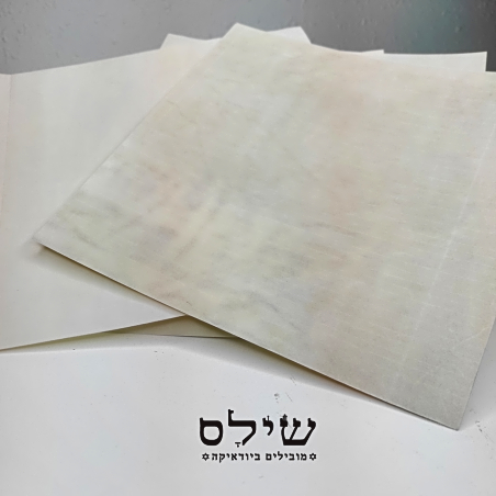 מזוזה 12 ס''מ מוזל