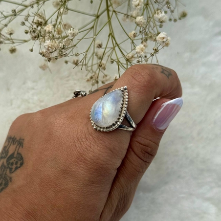 טבעת מונסטון 6