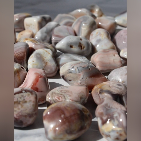 אגת בוטסוואנה חלוקים