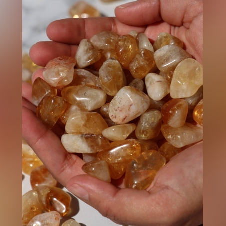 סיטרין חלוקים