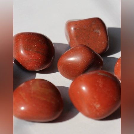 ג'ספר אדומה חלוקים