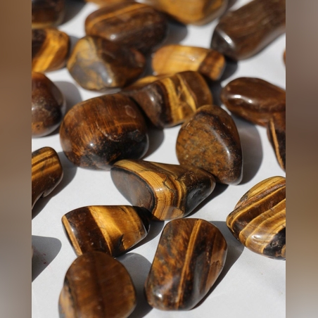 טייגר איי|עין הנמר חלוקים