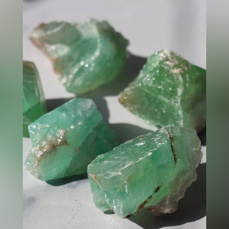 כלצית ירוקה גלם