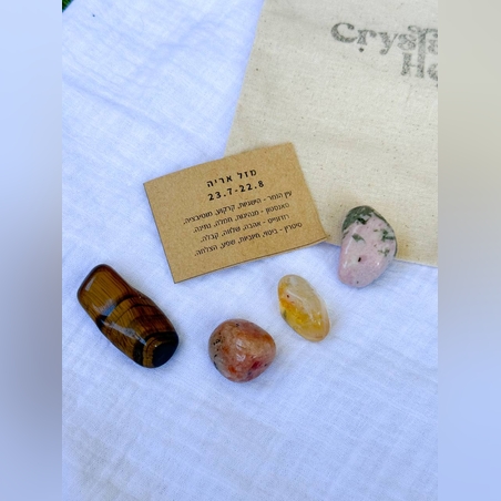 ערכת מזל אריה