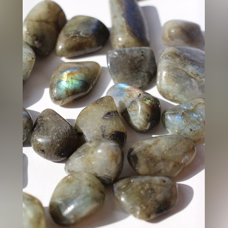 לברדורייט חלוקים