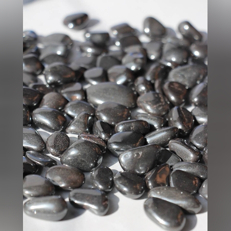 המטייט חלוקים