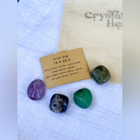 ערכת מזל דגים