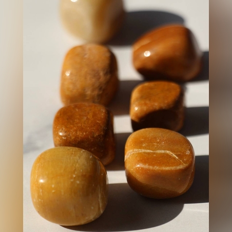 ג'ספר כתומה חלוקים