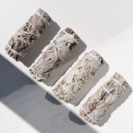 מרווה לבנה | ניקוי וטיהור