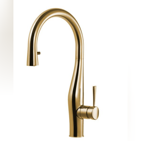 ברז מטבח נשלף | 2 מצבי זרימה | Imagine | זהב מוברש | 304869BG