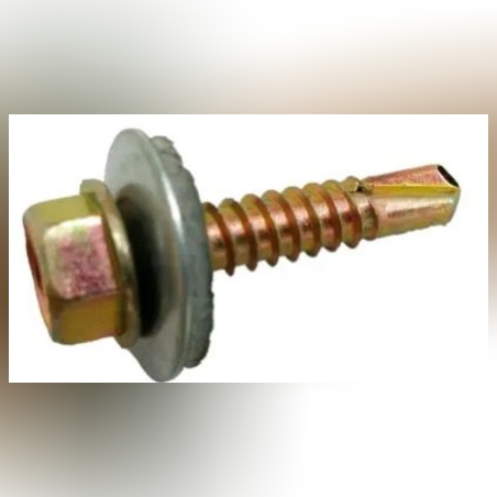 בורג אסכורית 1