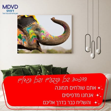 הדפסה על קנבס 20/20