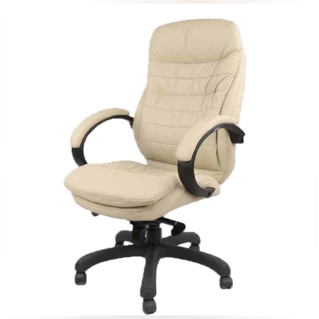 כיסא מנהל אורטופדי דגם ניובוס