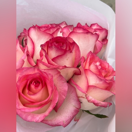 זר 10 ורדים 50cm *צבע משתנה לפי המלאי*