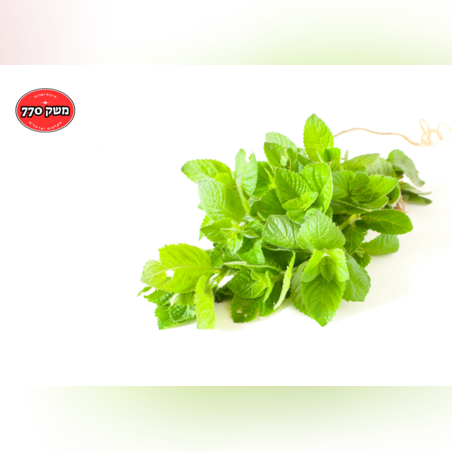 מארז נענע ארוז