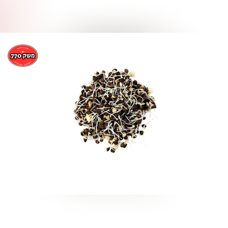 מארז נבטי עדשים שחורות