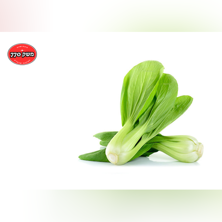 מארז באר צ'וי