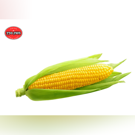 מארז תירס צהוב